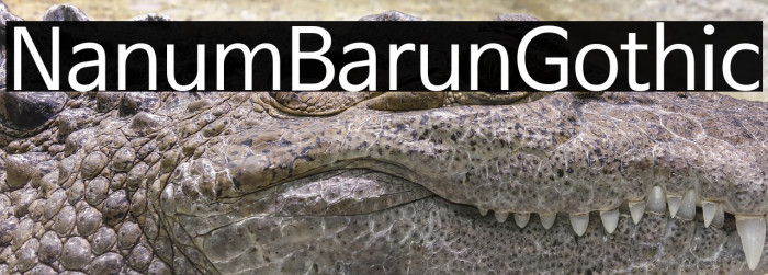 NanumBarunGothic Example 1