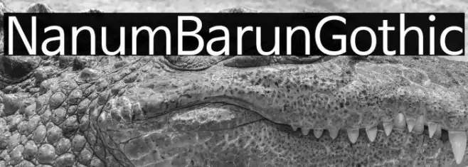 NanumBarunGothic Example 1