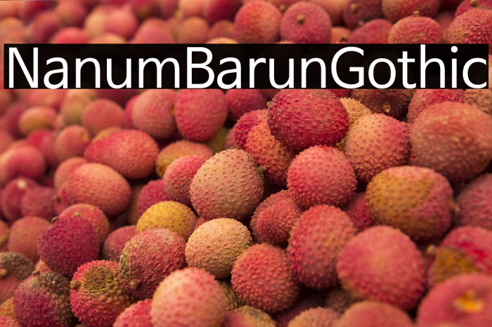 NanumBarunGothic Example 2