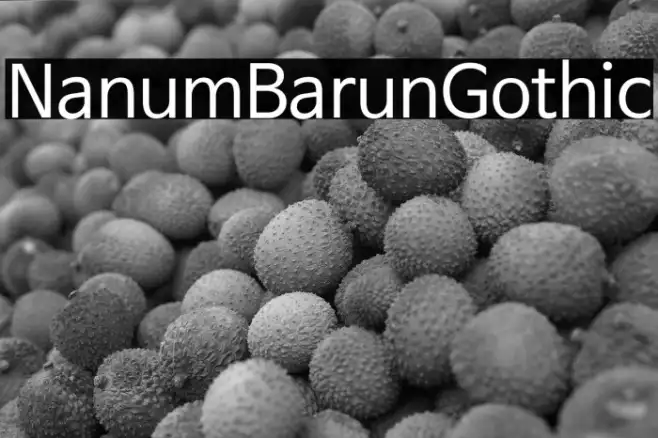 NanumBarunGothic Example 2