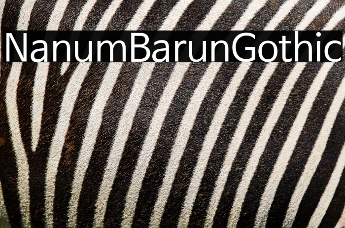 NanumBarunGothic Example 3