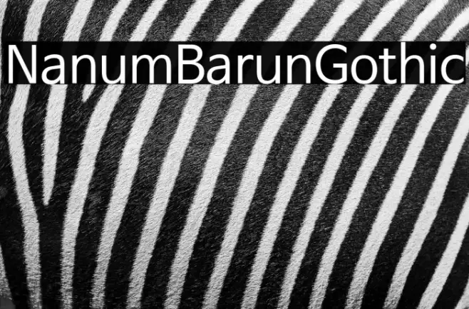 NanumBarunGothic Example 3