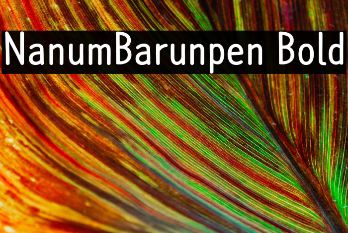 NanumBarunpen Bold Example 2