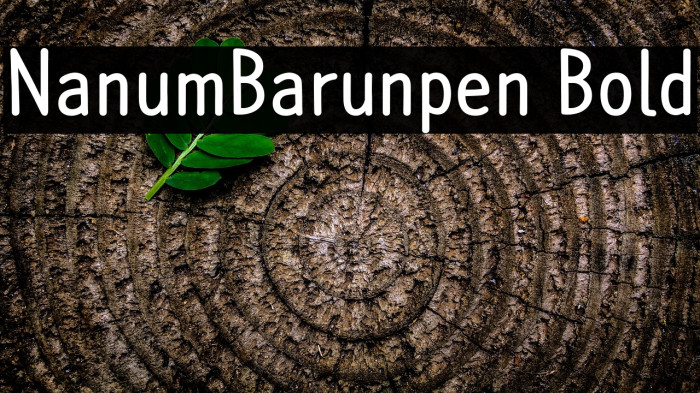 NanumBarunpen Bold Example 3