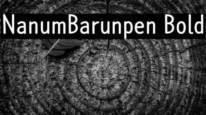 NanumBarunpen Bold Example 3