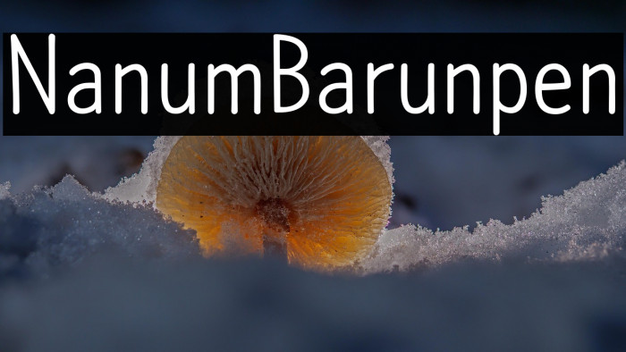 NanumBarunpen Example 1