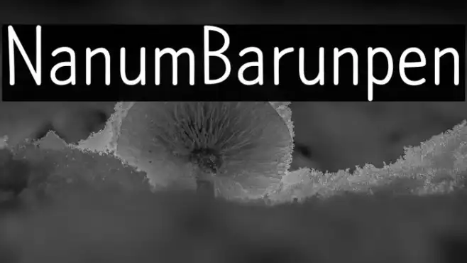 NanumBarunpen Example 1