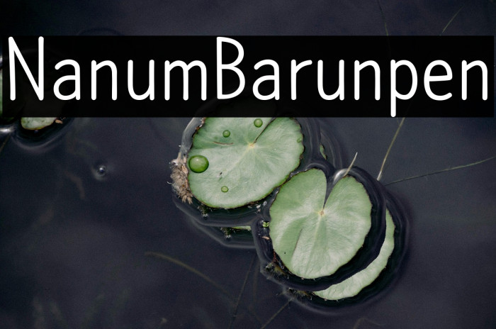 NanumBarunpen Example 2