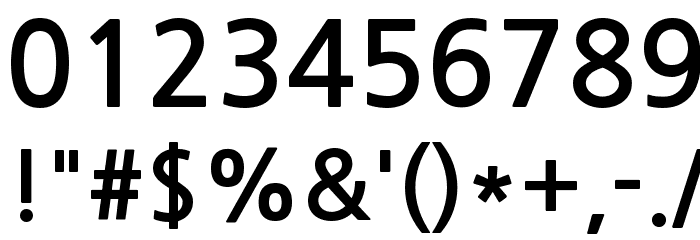NanumGothic Bold Font OTHER CHARS