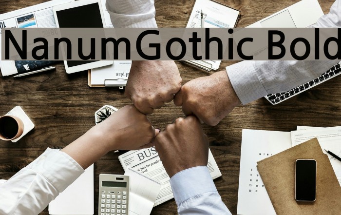 NanumGothic Bold Font examples