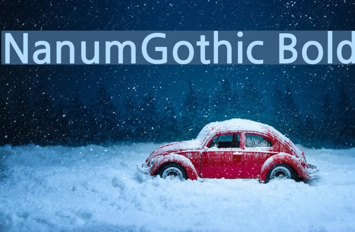NanumGothic Bold Font examples