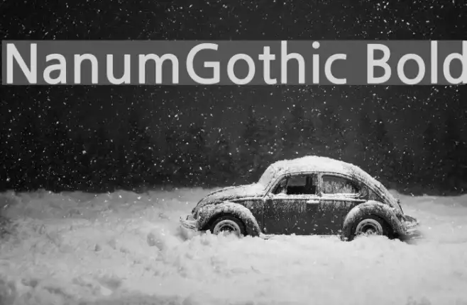 NanumGothic Bold Example 3
