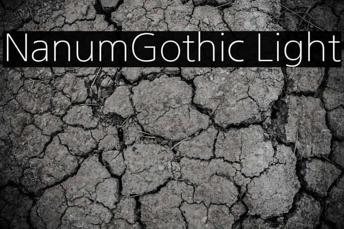 NanumGothic Light Example 1