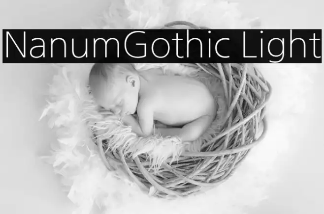 NanumGothic Light Example 3