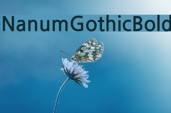 NanumGothicBold Font examples