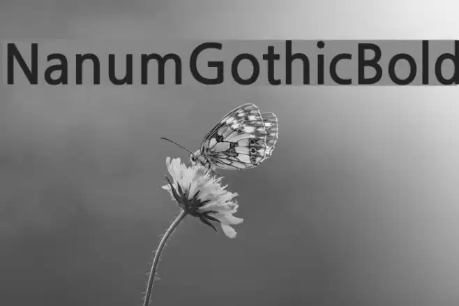 NanumGothicBold Fonte examples