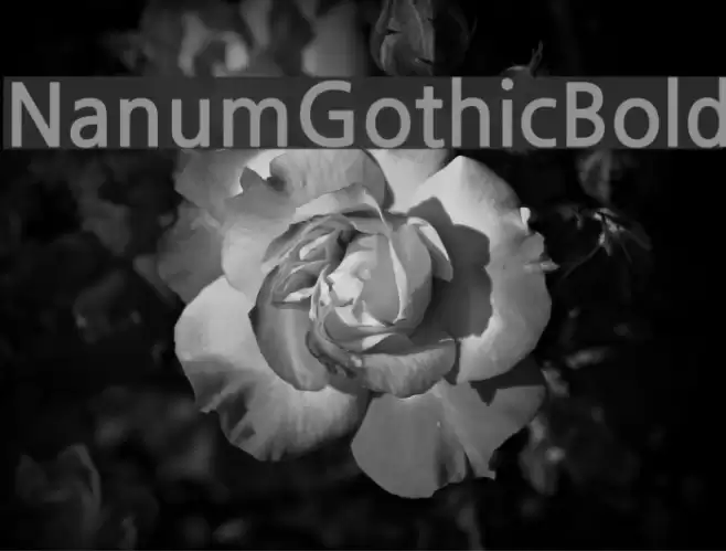 NanumGothicBold Fonte examples