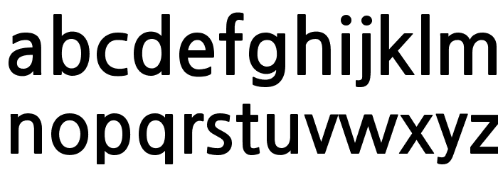 NanumGothicBold Font LOWERCASE