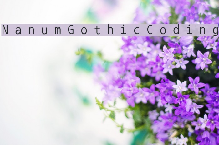 NanumGothicCoding Font examples