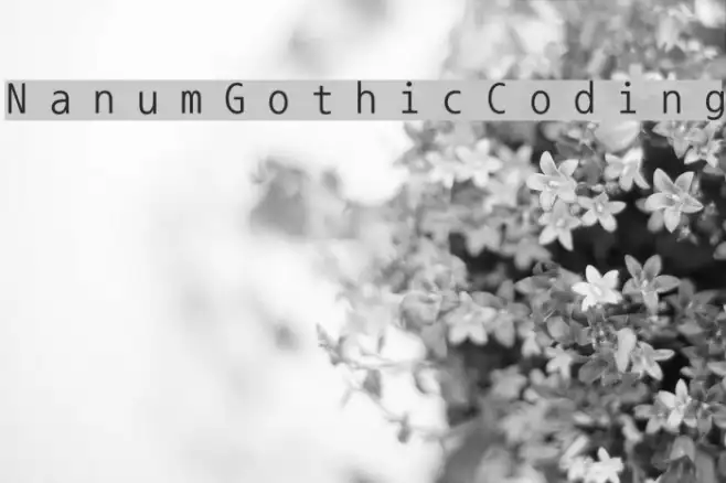 NanumGothicCoding Example 1