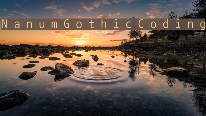 NanumGothicCoding Font examples