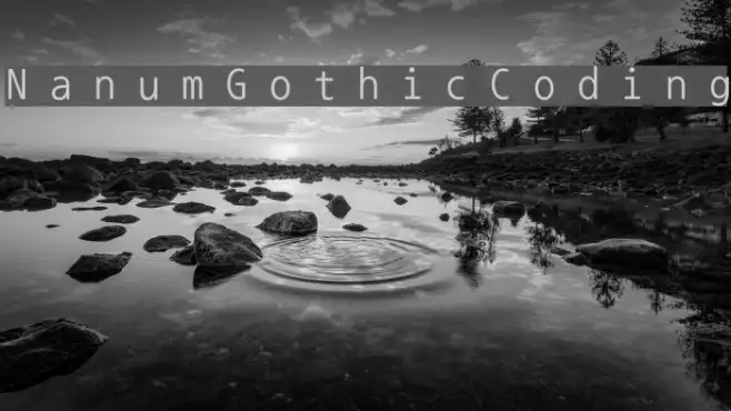 NanumGothicCoding Example 2