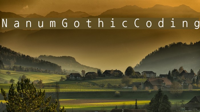 NanumGothicCoding Font examples