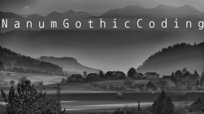 NanumGothicCoding Example 3