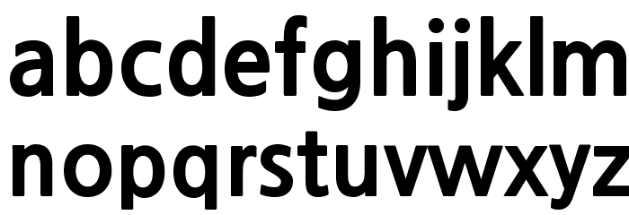 NanumGothicExtraBold Font LOWERCASE