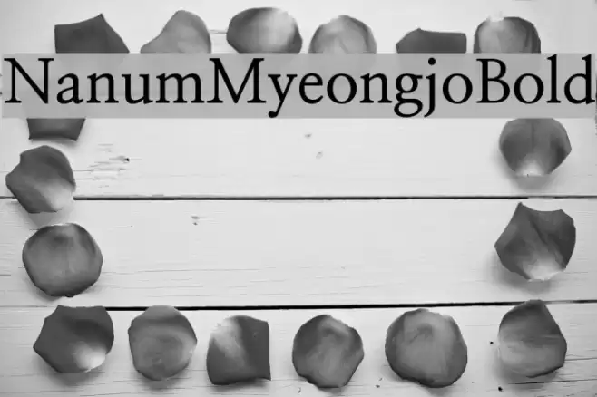 NanumMyeongjoBold Font examples
