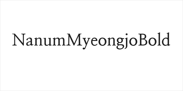NanumMyeongjoBold Logo