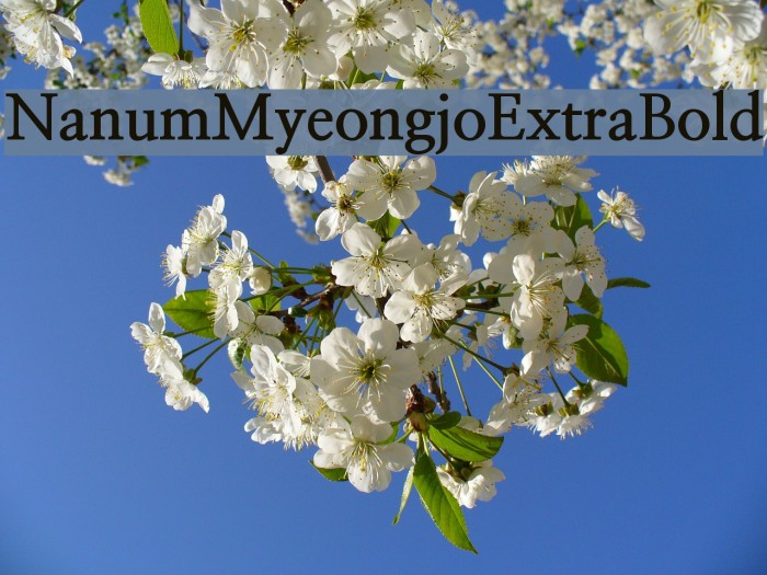 NanumMyeongjoExtraBold Font examples