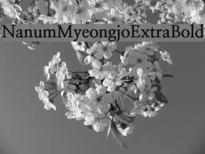 NanumMyeongjoExtraBold Example 1