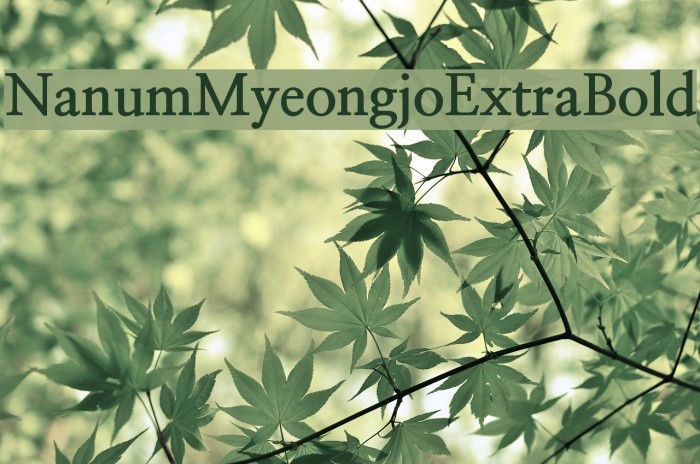 NanumMyeongjoExtraBold Font examples