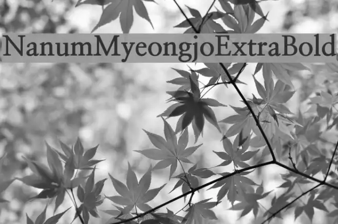NanumMyeongjoExtraBold Example 3