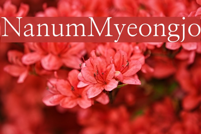 NanumMyeongjo Font examples
