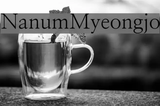 NanumMyeongjo Font examples