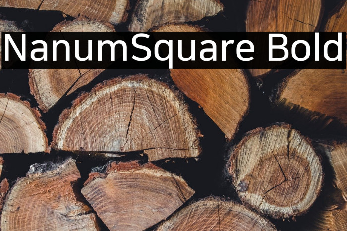 NanumSquare Bold Example 2
