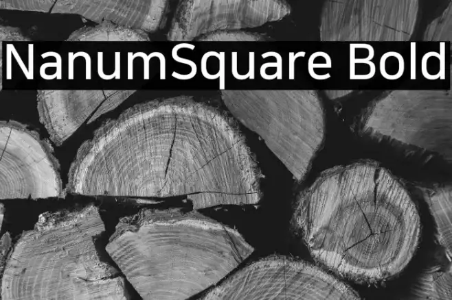 NanumSquare Bold Example 2