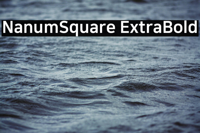 NanumSquare ExtraBold Example 1