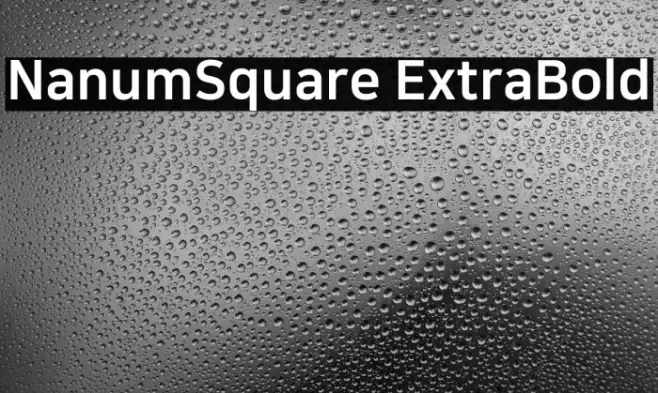 NanumSquare ExtraBold Example 2