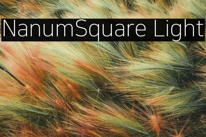 NanumSquare Light Example 2