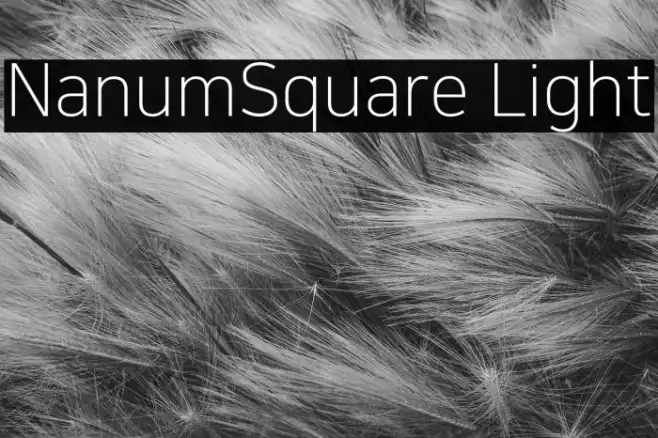 NanumSquare Light Example 2