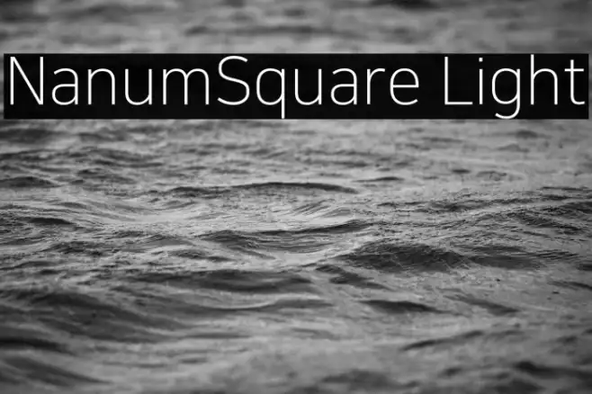 NanumSquare Light Example 3