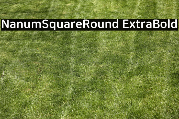 NanumSquareRound ExtraBold Example 3