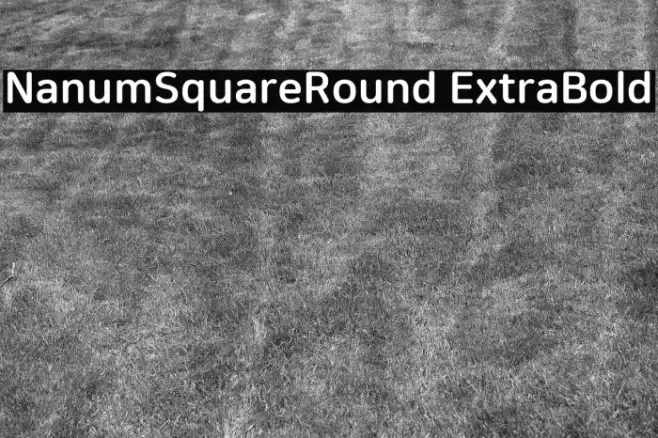 NanumSquareRound ExtraBold Example 3