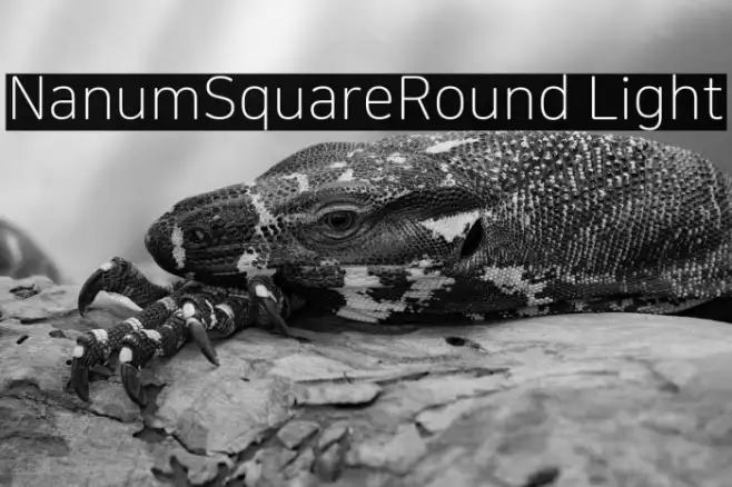 NanumSquareRound Light Example 3
