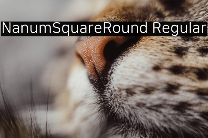 NanumSquareRound Regular Example 1