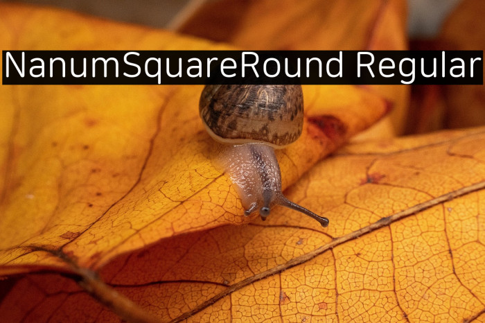 NanumSquareRound Regular Example 3