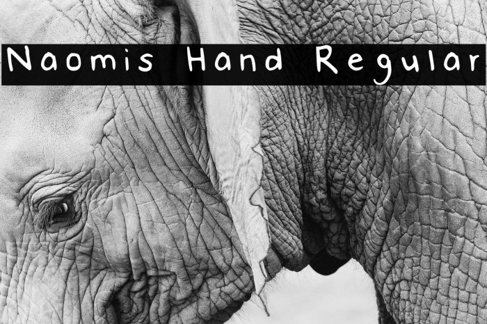 Naomis Hand Regular Example 1